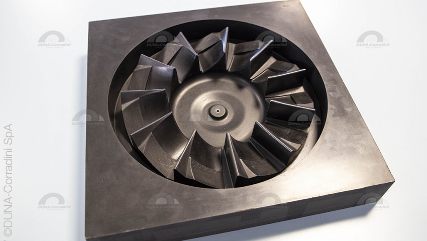 360° evolution of special orders